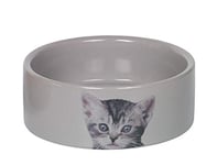 Nobby Gamelle en céramique pour Chat - Diamètre : 12 x 4,5 cm - 0,25 l - 1 pièce