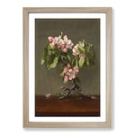 Big Box Art Apple Blossom Flowers by Martin Johnson Heade Framed Wall Art Picture Print Ready to Hang, Oak A2 (62 x 45 cm)