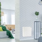 Radiateur électrique à inertie sèche Marinière Energie Prestige Plus 1000W