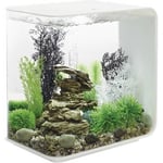 Aquarium 30 l Oase 72034 avec éclairage LED