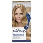 Clairol Root Touch-Up Permanent Hair Dye 8.5A Medium Champagne Blonde