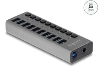 Delock External 5 Gbps USB Hub with 10 Ports + Switch