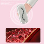 Electric Eye Massager Wand Hot Compress Micro Current Red LED Relieve SG5