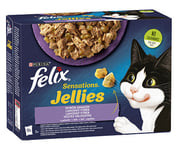 Felix Sensations Jellies -kissanruoka, eri makuja, 12 x 85 g