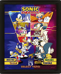 Pyramid International Poster Sonic le hérisson en 3D (Select Your Fighter) Décoration murale lenticulaire 3D avec cadre photo noir 25 x 20 x 1,5 cm – Produit officiel