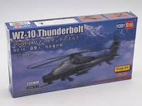 Hobbyboss HBB81904 Snap Kit-WZ-10 Thunderbolt Scale Model Kit, moulé Color