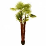 Atmosphera Créateur D'intérieur - Plante Artificielle Palmier 190cm Vert