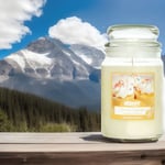 AIRPURE CANDLE VANILLA CUPCAKE 510g 75-90hr BURN TIME CANDLES