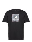 Adidas Performance Sport Optimist Sun Logo Sportswear Graphic T-Shirt Svart