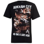 Character Dc Universe T Shirt Mens Arkham City Medium