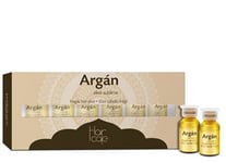 Palauttava hiusseerumi Argan Postquam 6 x 3 ml