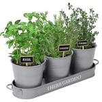 PERFNIQUE Indoor Herb Garden, Herb Garden Planter for Indoor/Outdoor, Farmhouse Plant Pots, Windowsill Herb Garden with Tray(Planter only) Window Pots