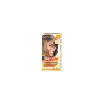 GARNIER Permanent Hair Dye Belle Color 4 Ash Blond