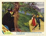 THE WIZARD of OZ FILM Rncb - POSTER HQ 60x80cm d'une AFFICHE CINéMA