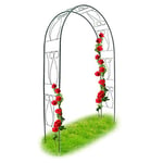 Relaxdays 10018869 Arche à Rosiers tuteur roses arche de jardin arceau rosiers Support Plantes Grimpantes 233 x 153 x 39 cm Vert 2,3 m