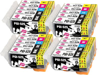 Remplacement pour Canon PGI-525 CLI-526 Cartouches d'encre 20 Pack, Utiliser avec Canon MG5350 MG5250 MG5150 MG6150 MG6250 iX6550 iP4850 iP4950 MX895 MX885 MG8150 MG8250