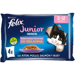 PURINA FELIX Fantastic Junior, 4 saveurs (Boeuf, Poulet, Thon, Saumon), (4x85gr) x 4