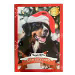 Akudim Treat Time Julekalender til Hund - 100g