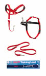 Halti Head Collar Lead Training Lead Harness Non-pull Harness All Sizes