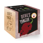 Feel Green Ecocube Piment Devil's Tongue (Force Du Chili 10), Scoville: 125.000 - 325.000, Idée Cadeau (100% Ecologique), Grow-Your-Own/Kit Prêt-à-Pousser, Plantes Dans Des Cubes En Bois 7.5cm, Produit En Autriche