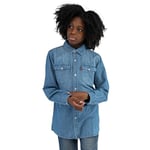 Levi's Kids Barstow Western Shirt Boys, Turquoise 2 Years