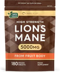 Lions Mane Supplement High Strength|5000Mg Lions Mane Supplement|from Fruit Body