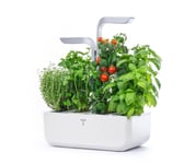 Véritable® Garden SMART (Arctic vit m. 4 rum)