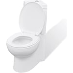 Toilette d'angle/WC à poser avec réservoir Céramique Blanc NAJO4506