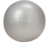 Gymboll 65 cm Unisex SILVER 65