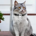 Cat Camera Collar 4K 1080P Dog Sports Action Body Camera For Pets Video Records