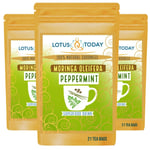 Peppermint Tea with Moringa Leaf, Energy Boost, Diet and Wellness 63 Tea Bags