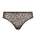 DIM Femme Generous Edition Limitée Golden Zebra X1 Soutien-Gorge, Marron Brut, 85C EU