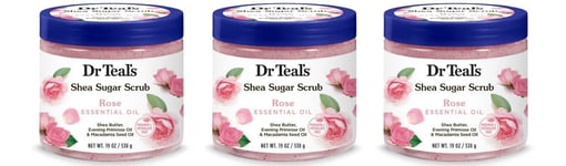 BL Dr Teals Shea Sugar Scrub Rose 19oz Jar THREE PACK