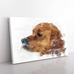 Big Box Art Golden Retriever Dog V3 Canvas Wall Art Print Ready to Hang Picture, 76 x 50 cm (30 x 20 Inch), Multi-Coloured