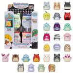 Squishmallows Squish-a-longs S2 Overraskelse 2,5cm Minifigur