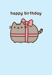 Pusheen The Cat ~ Happy Birthday Present Gift ~ Blank Card