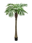 EUROPALMS Phoenix palm tree luxor, artificial plant, 210cm, Europalms konstgjord palm Fenix palm Lyx, 210cm