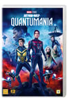 AntMan 3  AntMan And The Wasp: Quantumania DVD