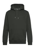 Superdry Essential Logo Hoodie Grön