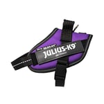 IDC Powerharness, Size: XS/Mini-Mini, Dark Purple