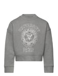 Zadig & Voltaire Kids Sweatshirt Grå