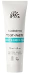 Urtekram Mint With Green Tea Toothpaste 75ml