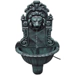 Vidaxl - Fontaine murale Design de tête de lion Vert