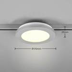 Trio Lighting LED-kattovalaisin Camillus DUOline Ø17 cm titaani