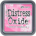 Ranger • Tim Holtz Distress Oxide Ink Pad Picked Raspberry