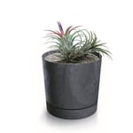 Botle Pot De Fleur Rond Anthracite Plastique Beton Effect Cache Pot 23,1 Cm Decoratif Bac A Plantes Avec Soucoupe Fleurs