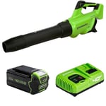 Greenworks 40V Cordless Leaf Blower, Axial Brushless Motor Lightweight Leaf Blower 210km/h 15m3/min with 4Ah Battery & Charger, 3 Year Guarantee GD40ABK2X