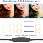 LED Desk Light Dimmable Live Streaming Selfie Tattoo Camera Ring Light With LVE