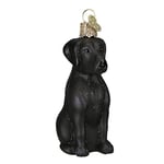 Old World Christmas Black Labrador Dog Collection Glass Blown Ornaments for Christmas Tree