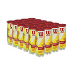 Wilson Championship Extra Duty Tennis Ball Case - 72 Balls, yellow